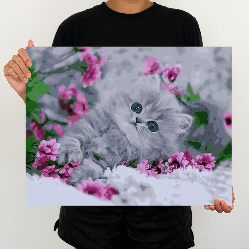 Baby Cat - Painting By Numbers