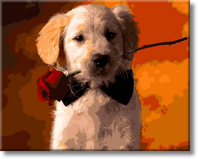 Dog With Rose - Painting By Numbers