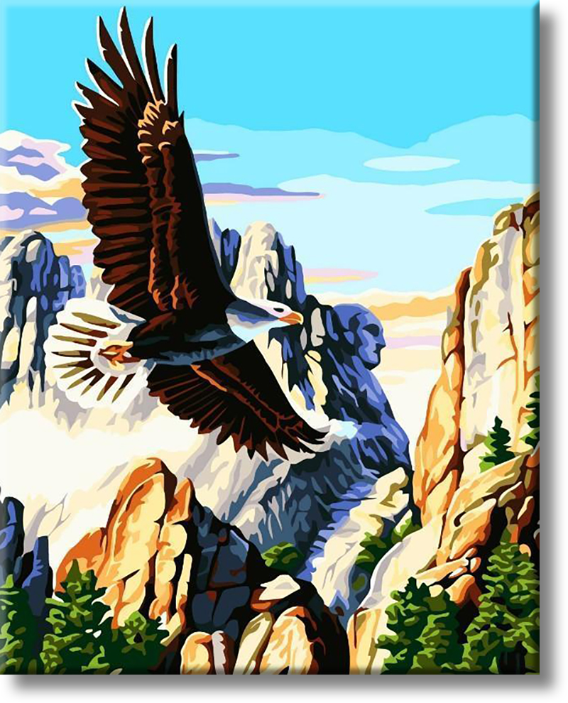 Eagles In The Mountains - Painting By Numbers