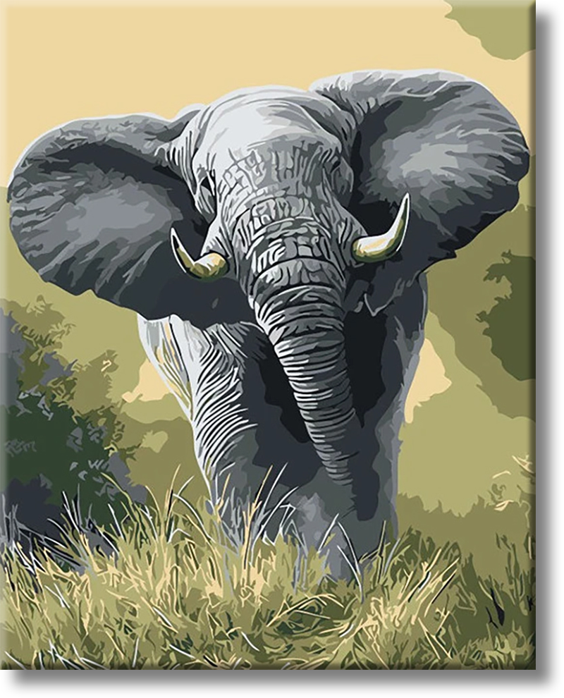 Elephant - Painting By Numbers