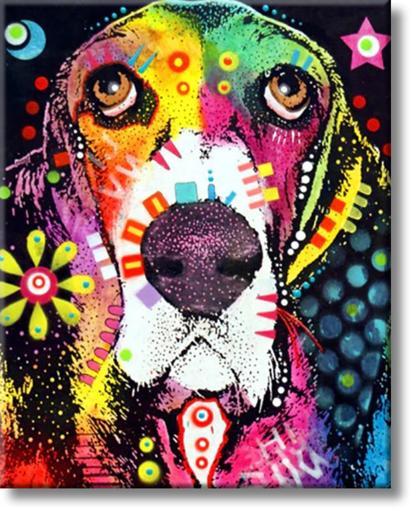 Funny Colorful Dog - Painting By Numbers