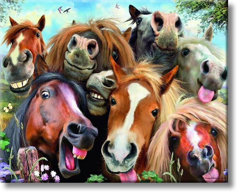 Funny Horses - Painting By Numbers