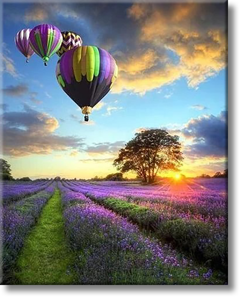 Hot Air Balloon Over Lavender - Painting By Numbers