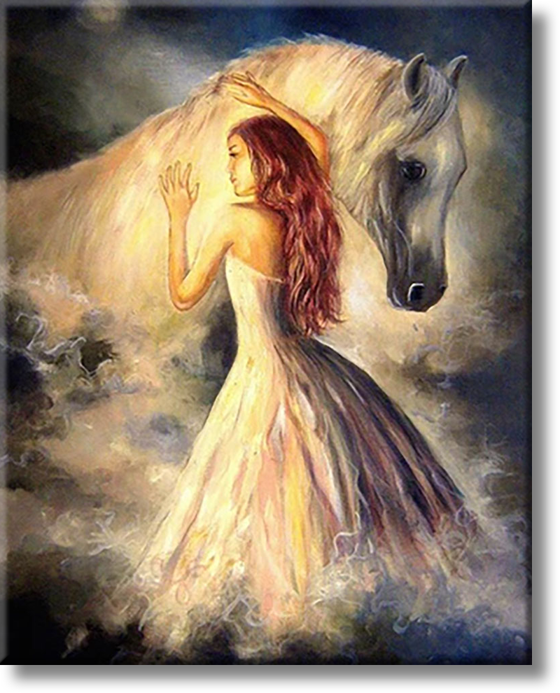 Bride Horse- Painting By Numbers