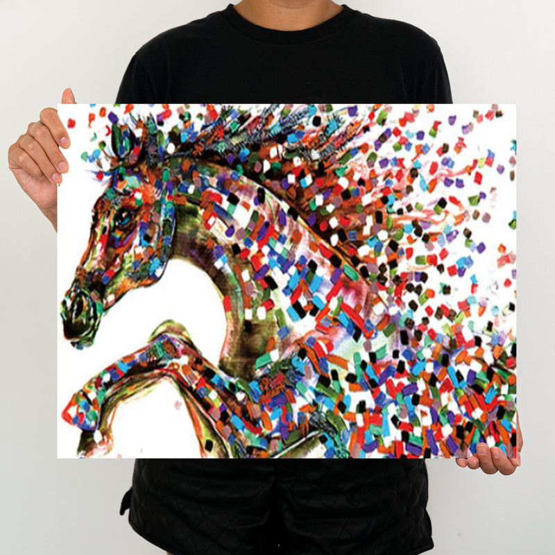 Colorful Horse - Painting By Numbers