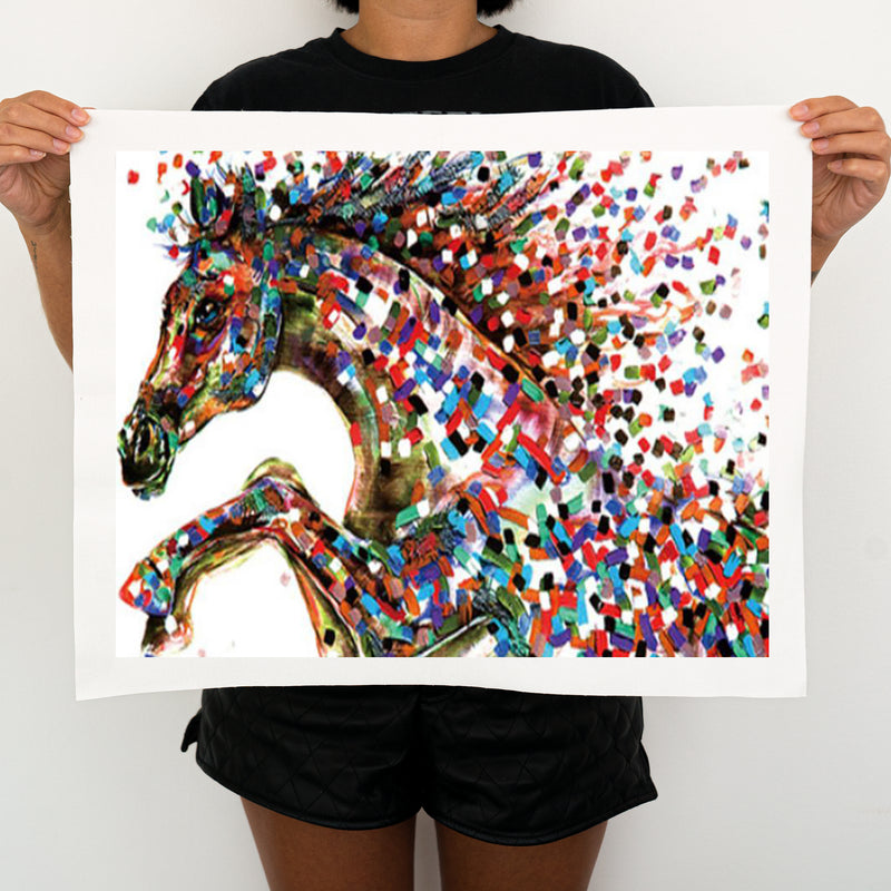 Colorful Horse - Painting By Numbers