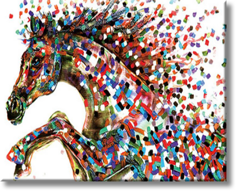 Colorful Horse - Painting By Numbers