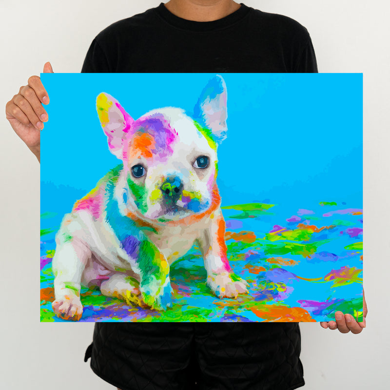 Colorful Dog - Painting By Numbers