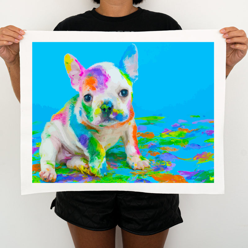 Colorful Dog - Painting By Numbers