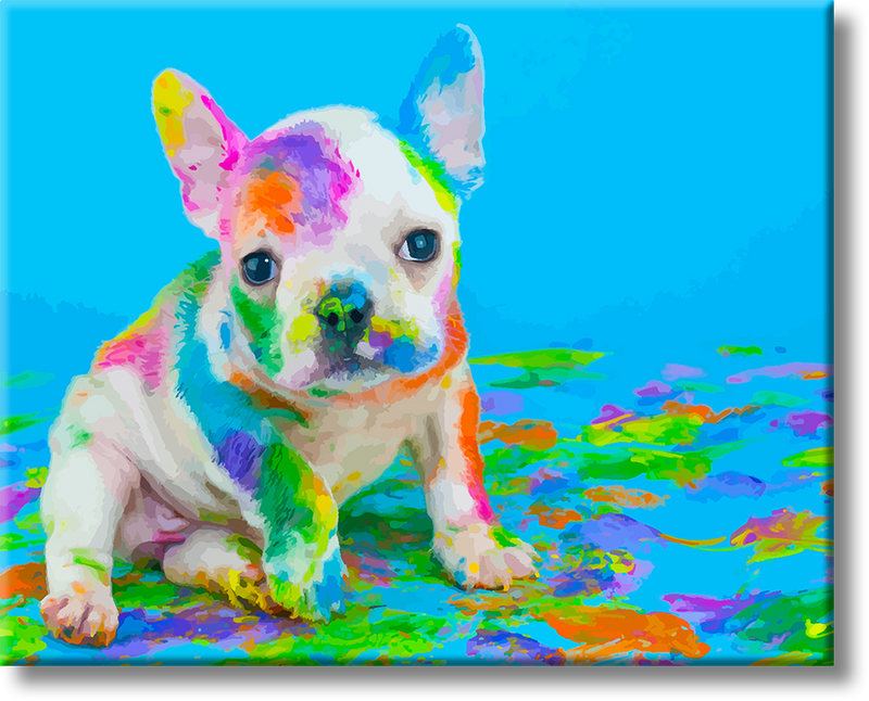 Colorful Dog - Painting By Numbers