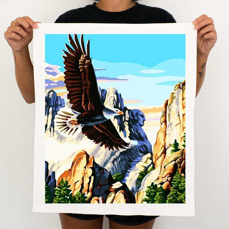 Eagles In The Mountains - Painting By Numbers