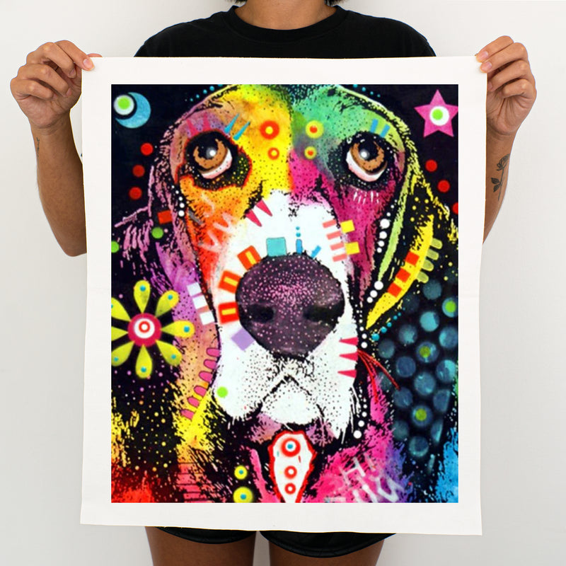 Funny Colorful Dog - Painting By Numbers