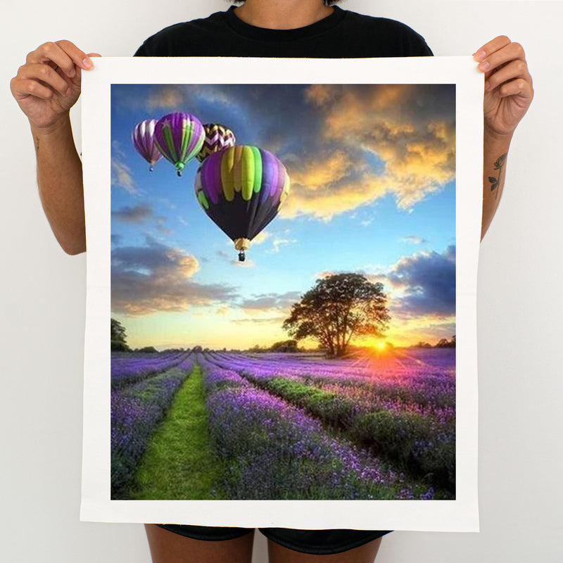 Hot Air Balloon Over Lavender - Painting By Numbers