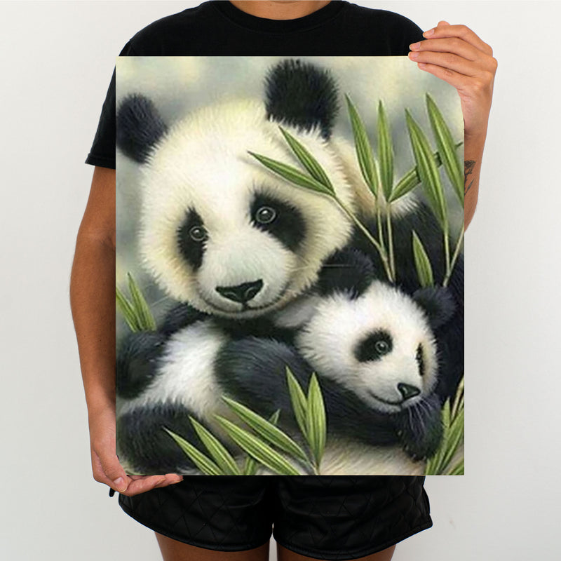 Panda Family - Painting By Numbers