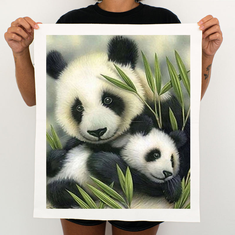 Panda Family - Painting By Numbers