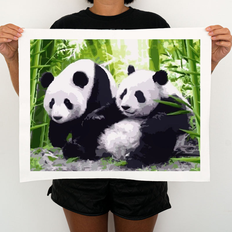 Pandas and Bamboos - Painting By Numbers