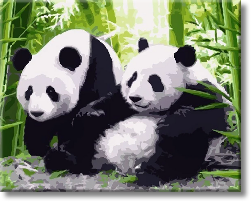 Pandas and Bamboos - Painting By Numbers