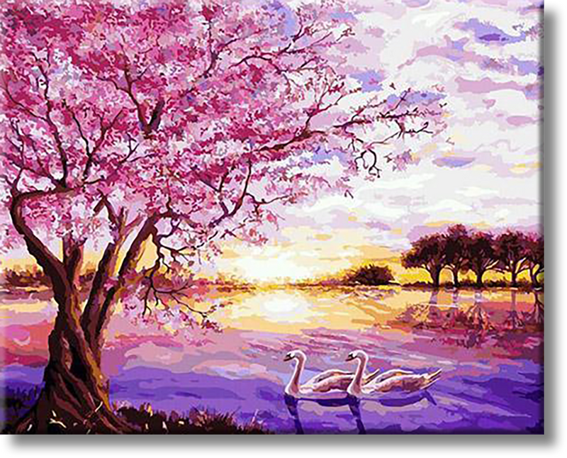 Swans In Spring -  Painting By Numbers