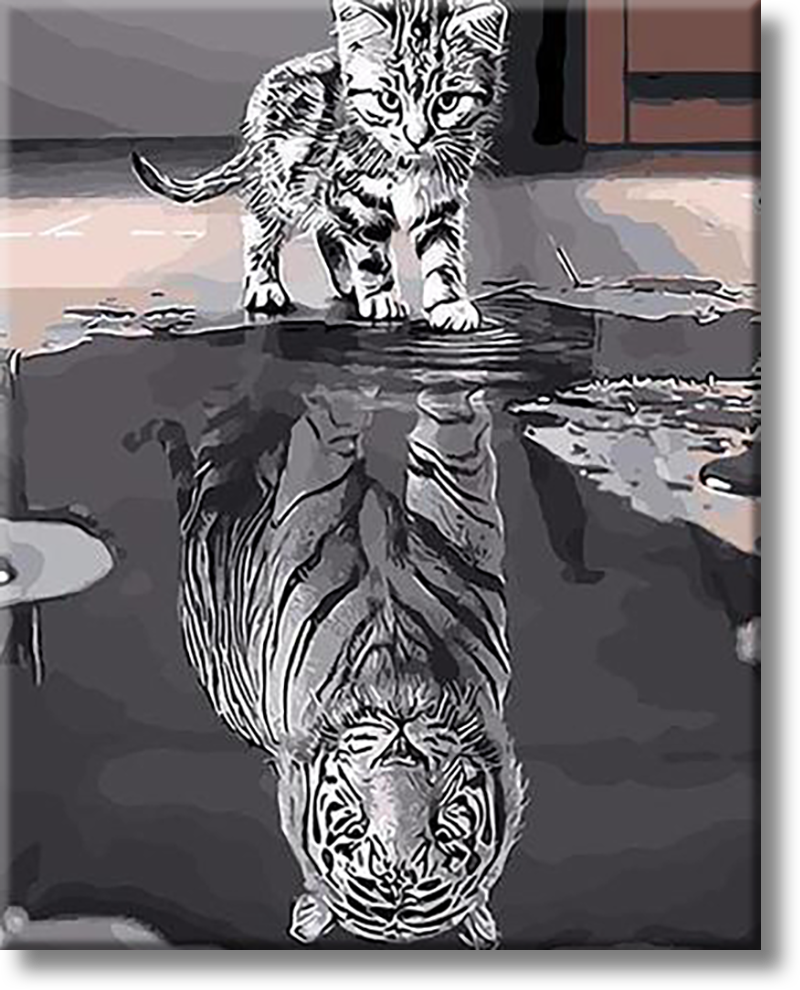 Cat And Its Reflection - Painting By Numbers