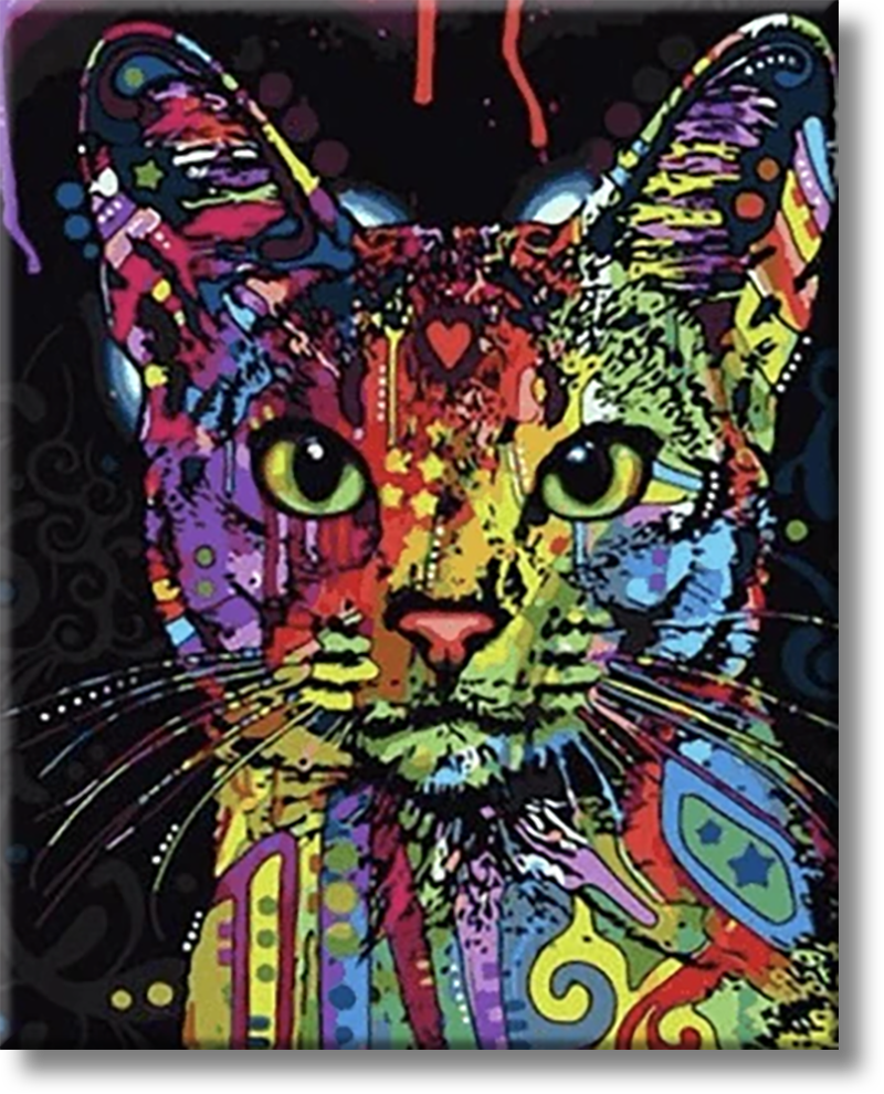 Colorful Cat - Painting By Numbers