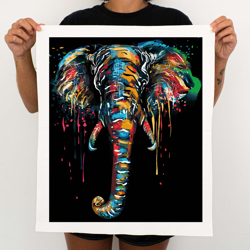 Color Elephant - Painting By Numbers