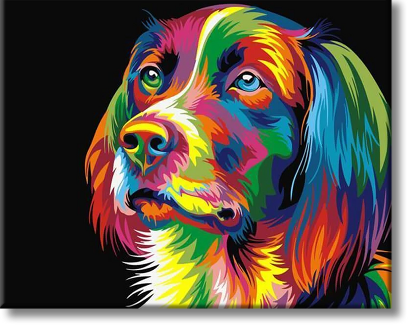 Colorful Dog - Painting By Numbers