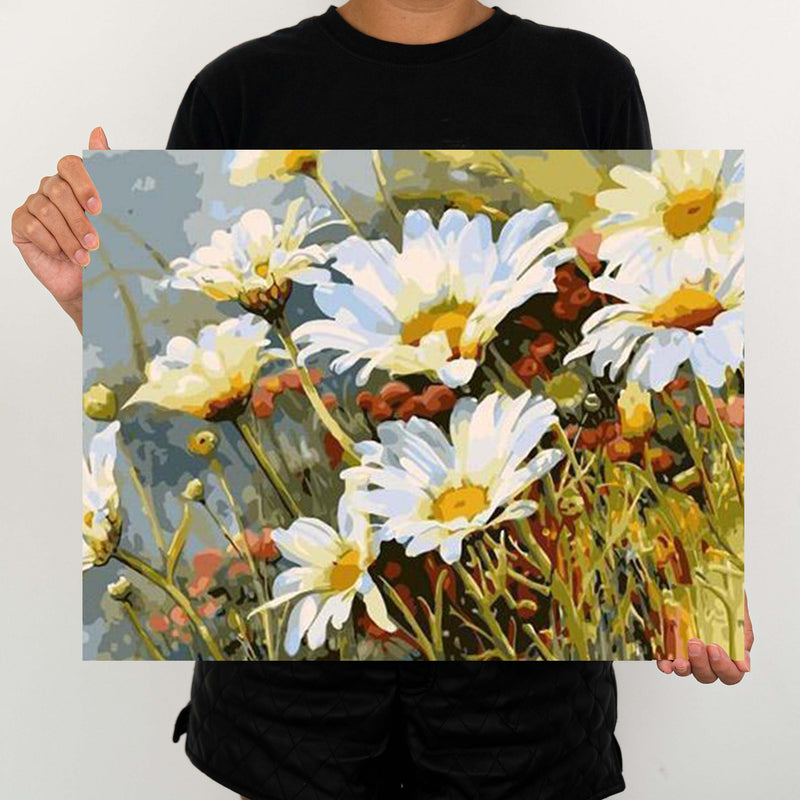 Daisies - Painting By Numbers