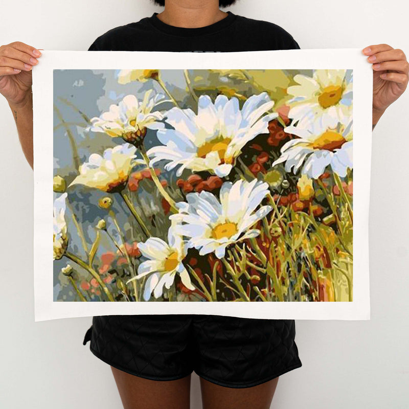 Daisies - Painting By Numbers