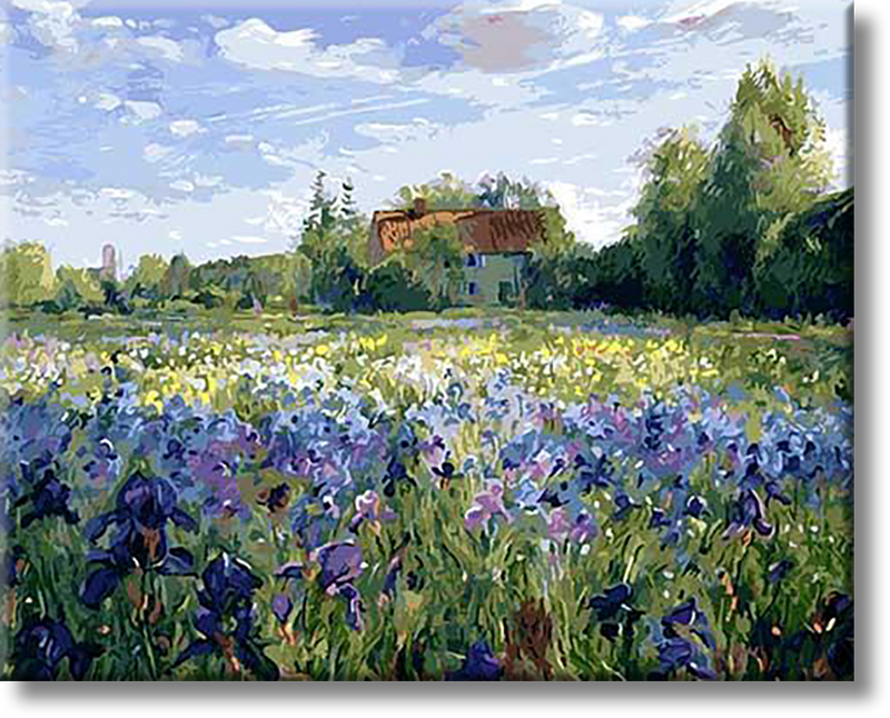 Flower Meadow - Painting By Numbers