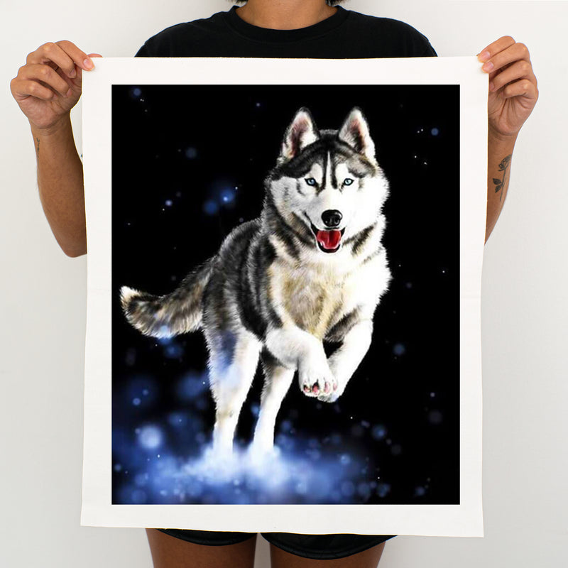 Husky - Painting By Numbers