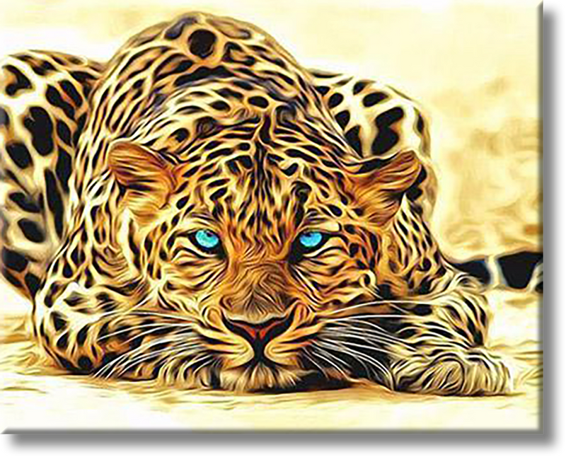 Leopard With The Blue Eyes - Painting By Numbers