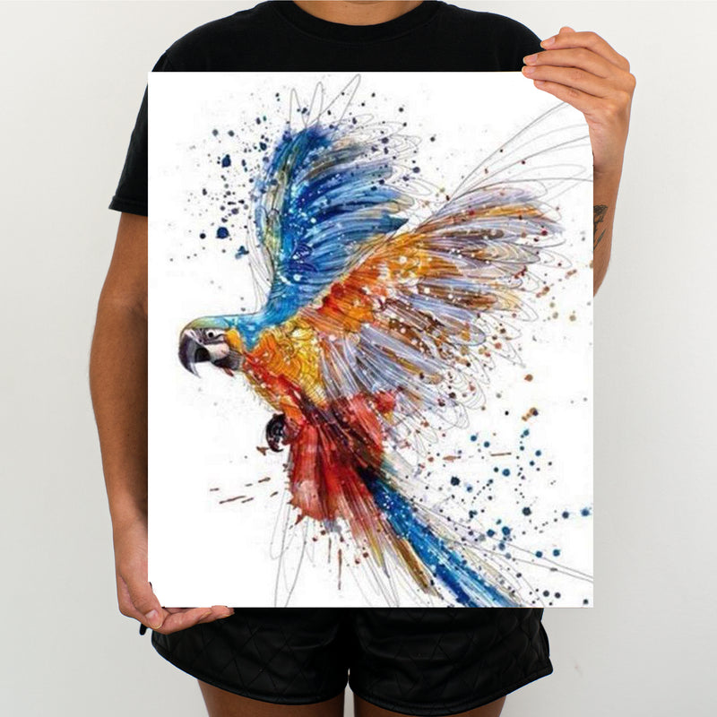 Parrot - Painting By Numbers