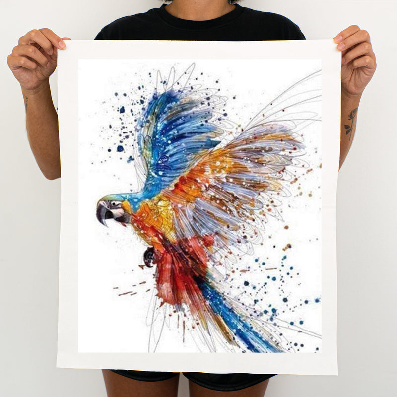 Parrot - Painting By Numbers