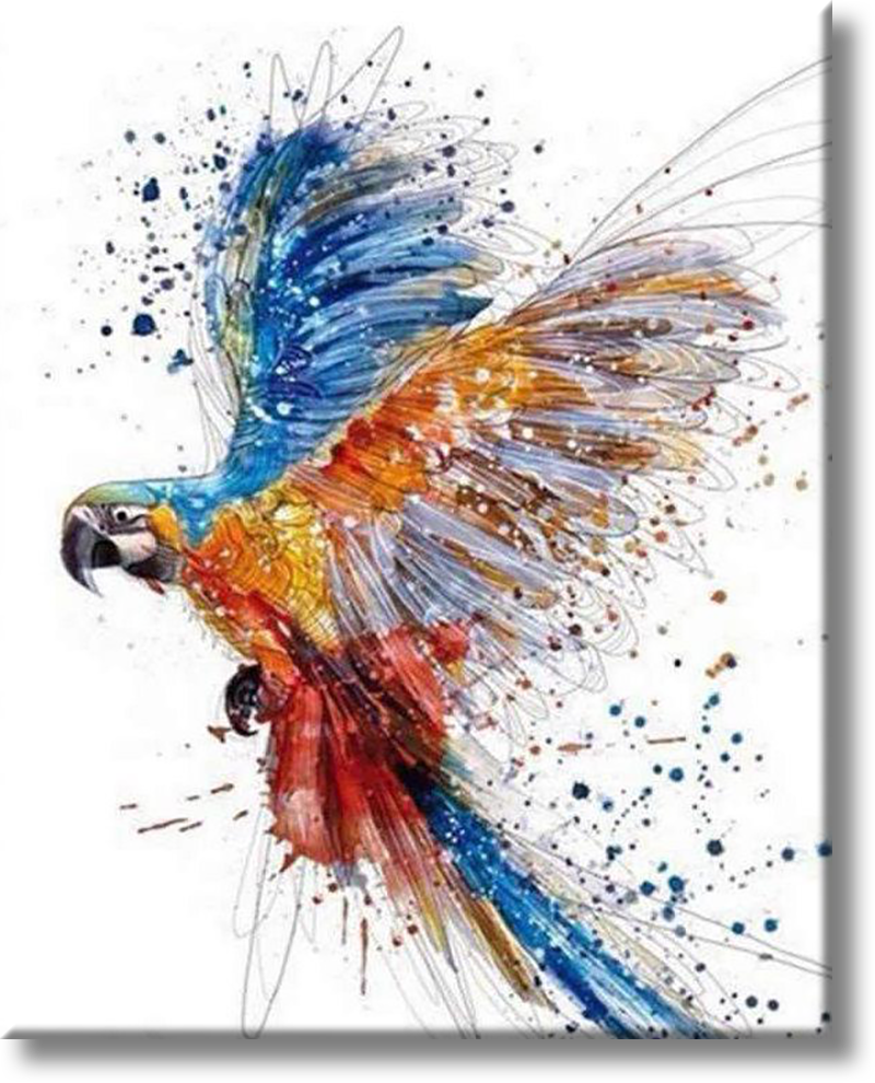 Parrot - Painting By Numbers