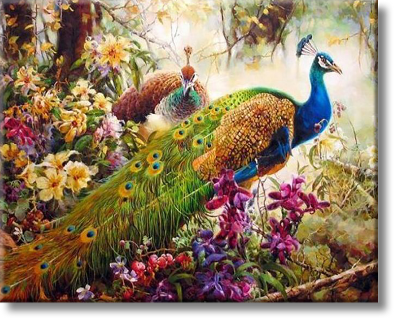 Peacock In Paradise - Painting By Numbers