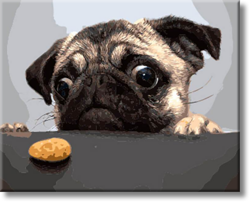 Pug Cookie And The Cookie - Painting By Numbers