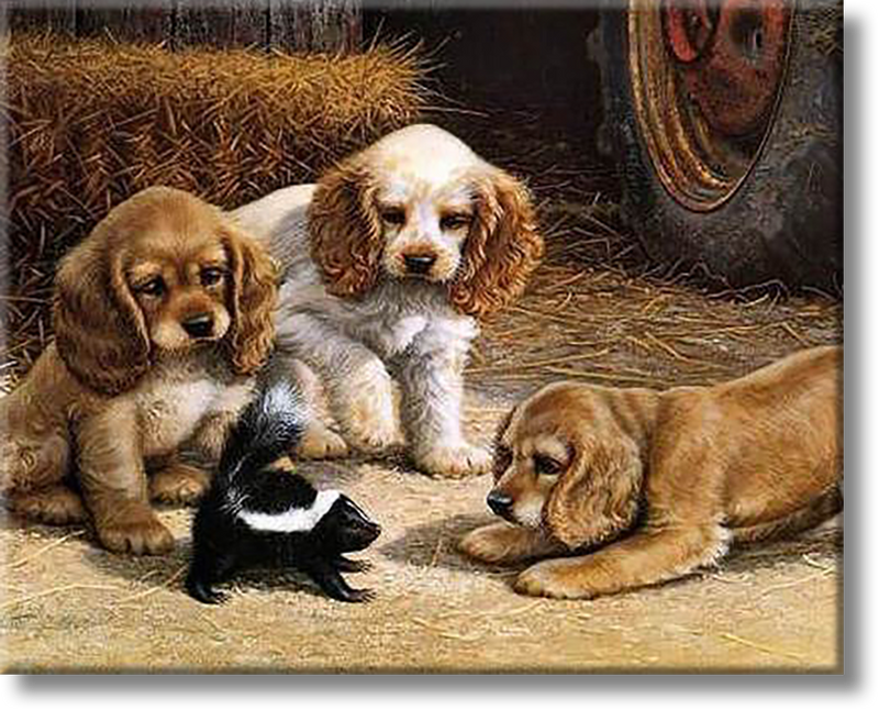 Puppies - Painting By Numbers