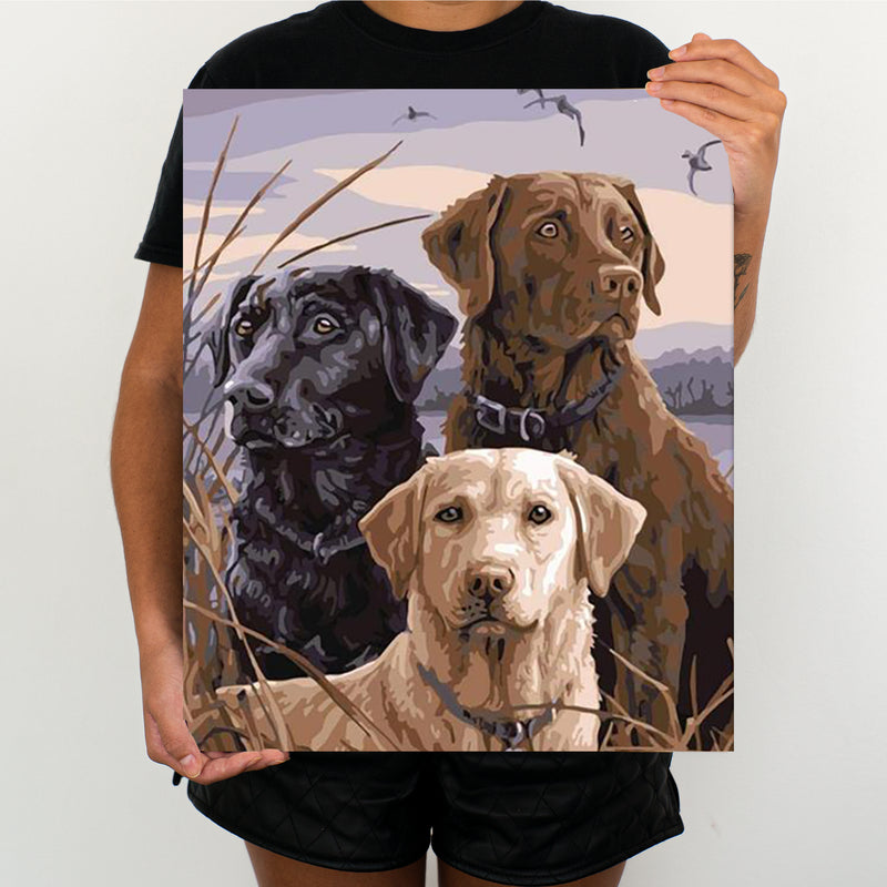 Three Dogs - Painting By Number