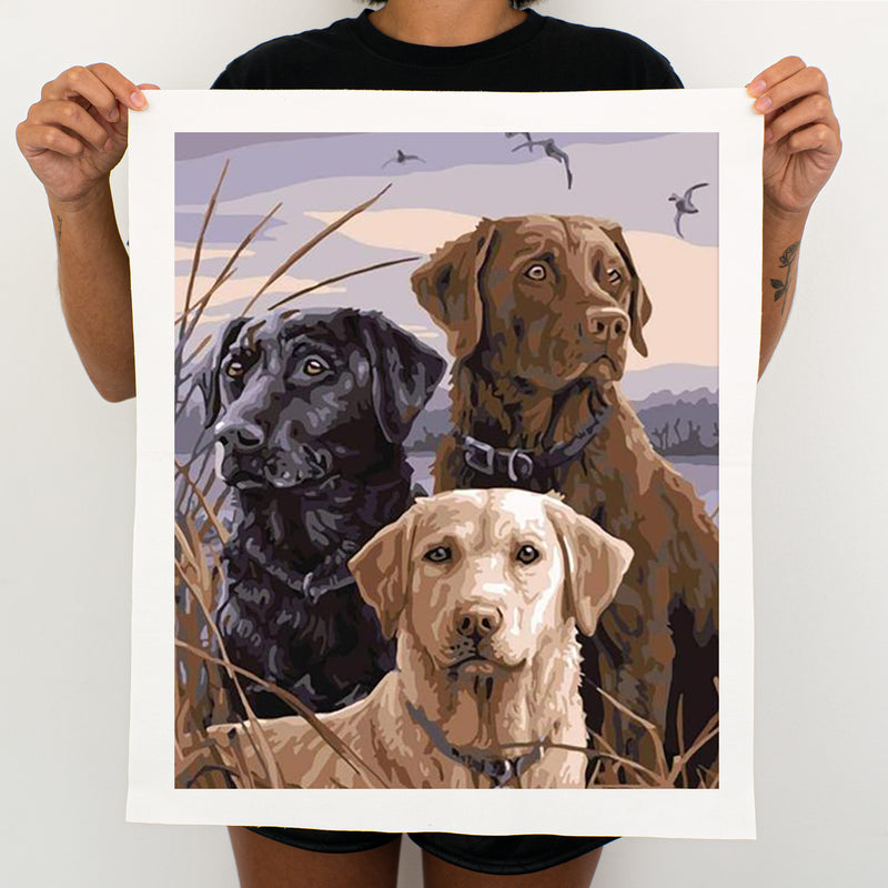 Three Dogs - Painting By Number