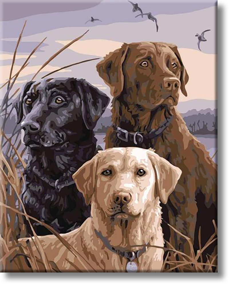 Three Dogs - Painting By Number