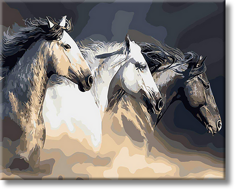 Three Horses - Painting By Numbers