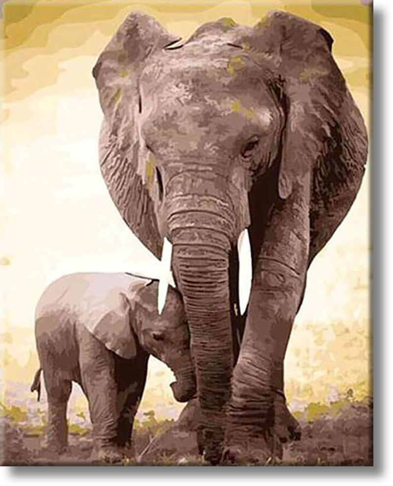 Two Elephants - Painting By Number