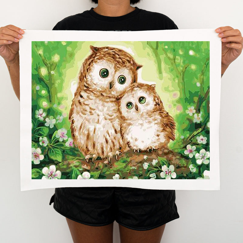 Two Owls - Painting By Numbers