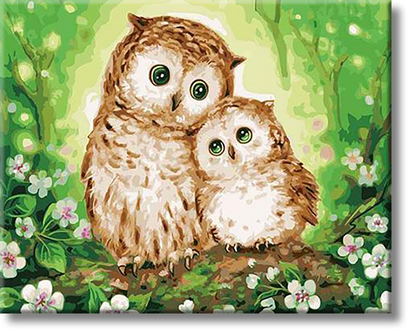 Two Owls - Painting By Numbers