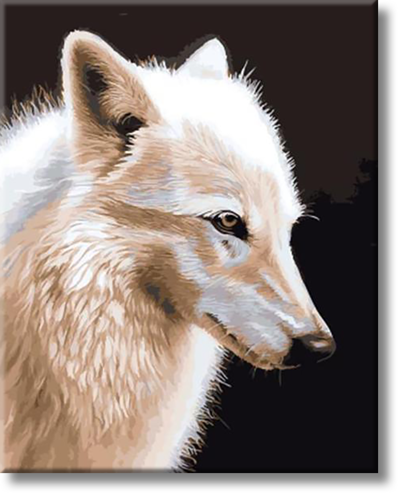 Wolf - Painting By Numbers