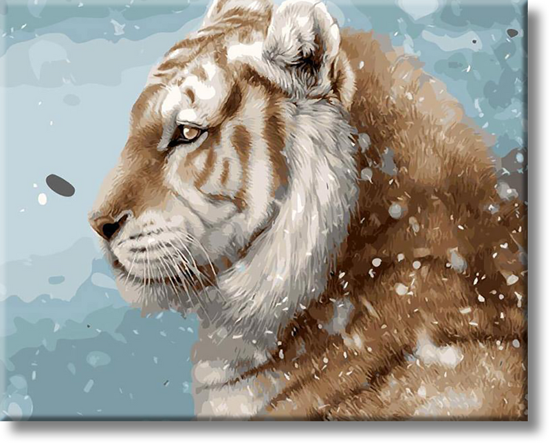 Tiger In The Snow - Painting By Number