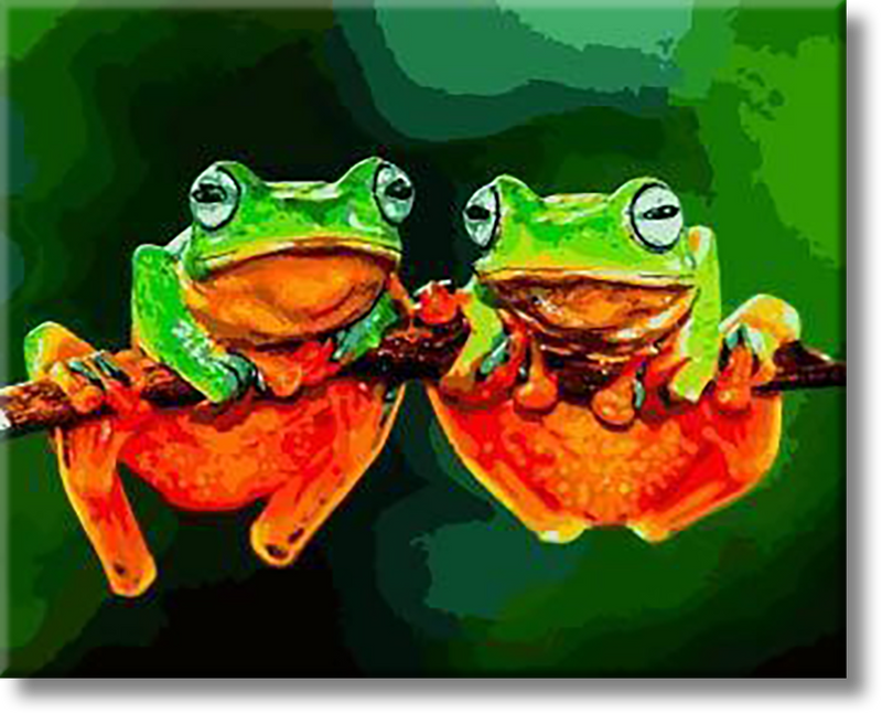 Two Frogs - Painting By Numbers