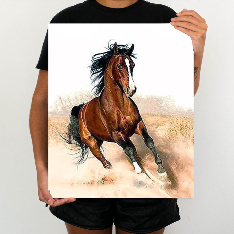 Wild Stallion - Painting By Numbers