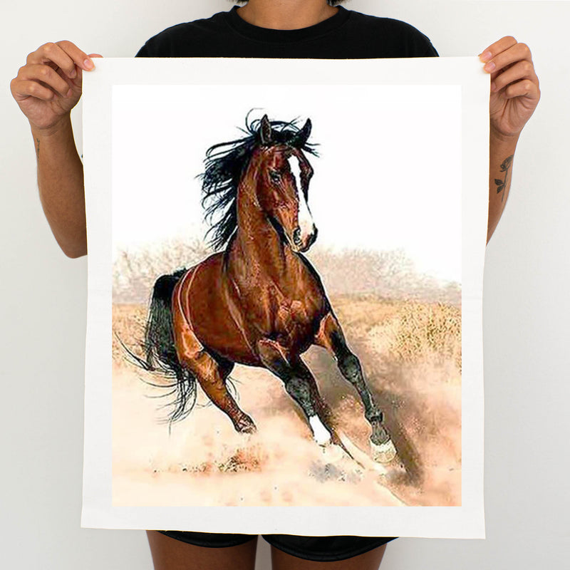 Wild Stallion - Painting By Numbers