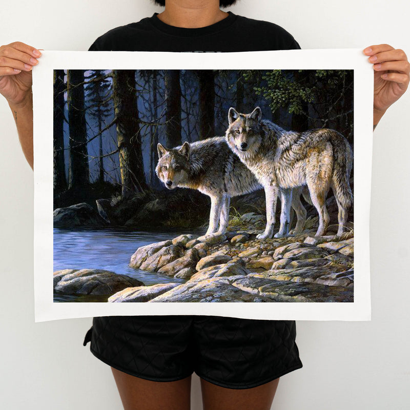 Wolves In The Forest - Painting By Number